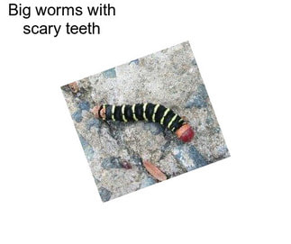 Big worms with scary teeth