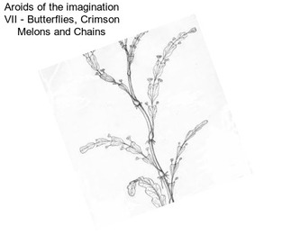 Aroids of the imagination VII - Butterflies, Crimson Melons and Chains