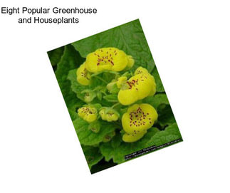 Eight Popular Greenhouse and Houseplants