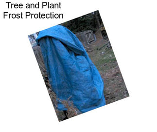 Tree and Plant Frost Protection
