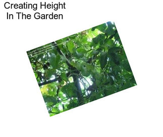 Creating Height In The Garden