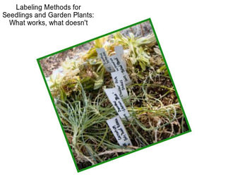 Labeling Methods for Seedlings and Garden Plants: What works, what doesn\'t