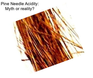 Pine Needle Acidity: Myth or reality?