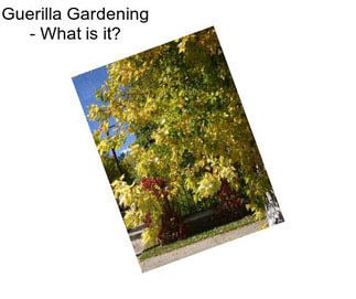 Guerilla Gardening - What is it?