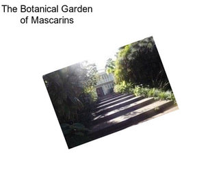 The Botanical Garden of Mascarins