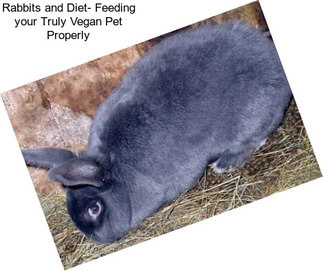 Rabbits and Diet- Feeding your Truly Vegan Pet Properly