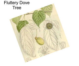 Fluttery Dove Tree