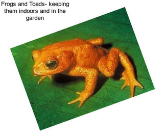 Frogs and Toads- keeping them indoors and in the garden