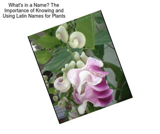 What\'s in a Name? The Importance of Knowing and Using Latin Names for Plants