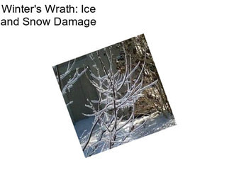 Winter\'s Wrath: Ice and Snow Damage