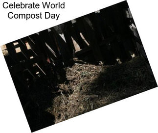 Celebrate World Compost Day