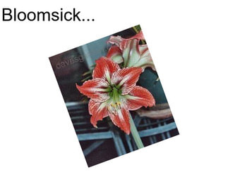 Bloomsick...