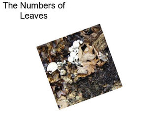 The Numbers of Leaves