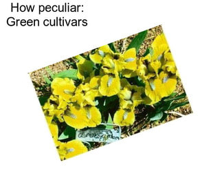 How peculiar: Green cultivars