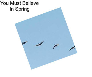 You Must Believe In Spring