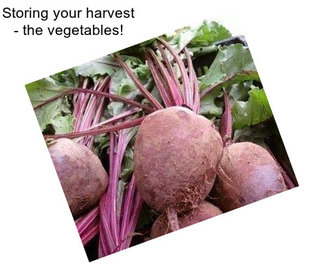 Storing your harvest - the vegetables!