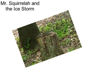 Mr. Squirrelah and the Ice Storm
