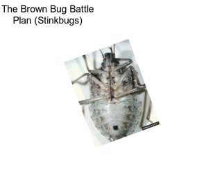 The Brown Bug Battle Plan (Stinkbugs)