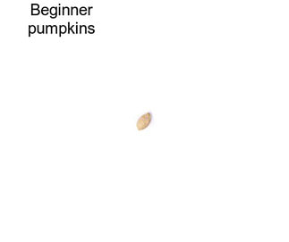 Beginner pumpkins