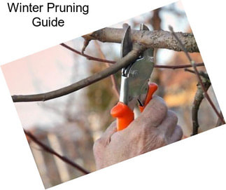 Winter Pruning Guide