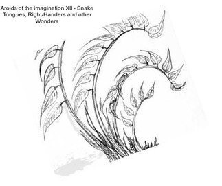 Aroids of the imagination XII - Snake Tongues, Right-Handers and other Wonders