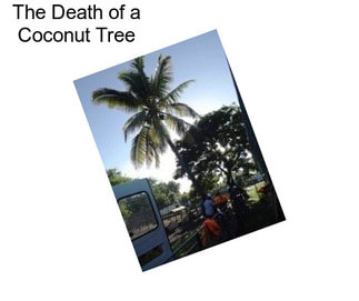 The Death of a Coconut Tree