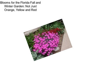 Blooms for the Florida Fall and Winter Garden: Not Just Orange, Yellow and Red