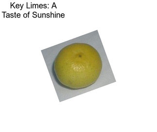 Key Limes: A Taste of Sunshine