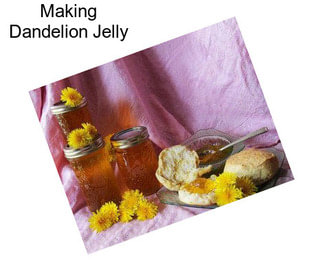 Making Dandelion Jelly