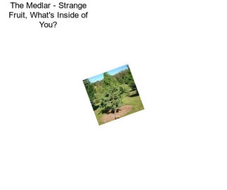 The Medlar - Strange Fruit, What\'s Inside of You?