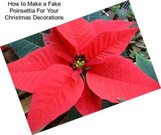 How to Make a Fake Poinsettia For Your Christmas Decorations