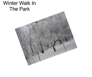 Winter Walk In The Park