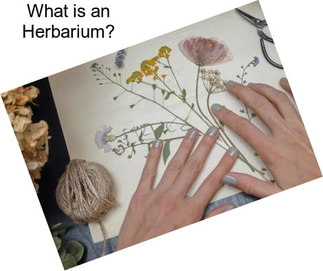 What is an Herbarium?