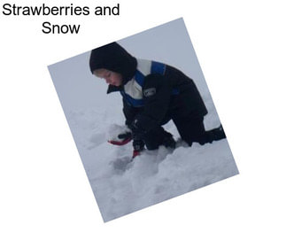 Strawberries and Snow