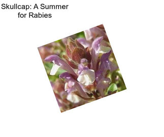 Skullcap: A Summer for Rabies