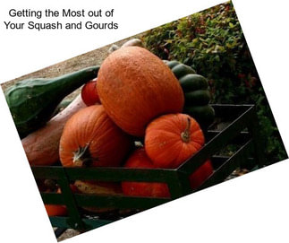 Getting the Most out of Your Squash and Gourds