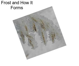 Frost and How It Forms