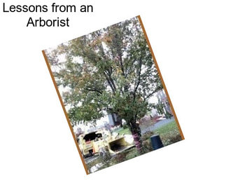 Lessons from an Arborist