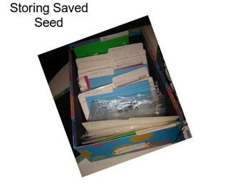 Storing Saved Seed