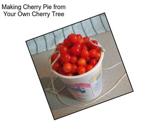 Making Cherry Pie from Your Own Cherry Tree