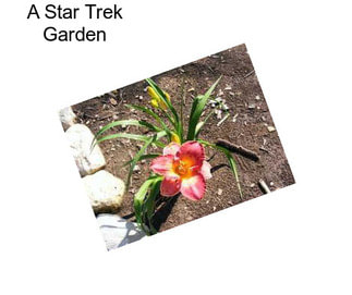 A Star Trek Garden