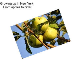 Growing up in New York: From apples to cider