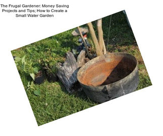 The Frugal Gardener: Money Saving Projects and Tips; How to Create a Small Water Garden