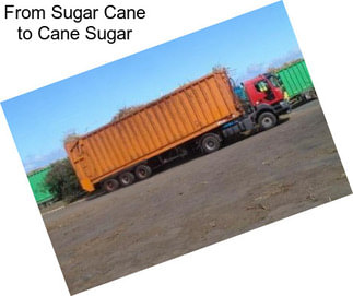 From Sugar Cane to Cane Sugar