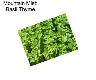 Mountain Mist: Basil Thyme