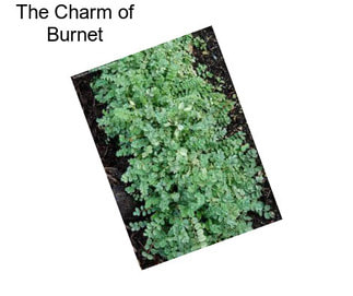 The Charm of Burnet