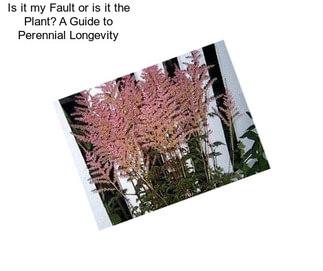 Is it my Fault or is it the Plant? A Guide to Perennial Longevity