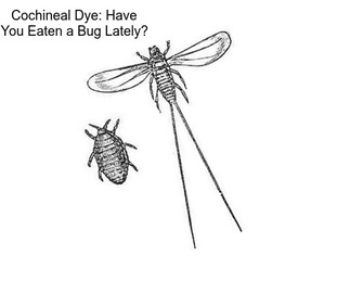 Cochineal Dye: Have You Eaten a Bug Lately?