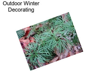 Outdoor Winter Decorating