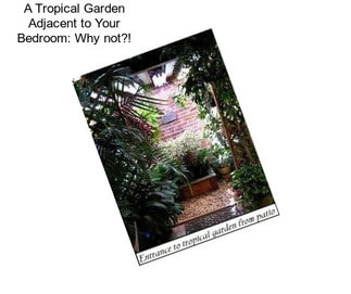 A Tropical Garden Adjacent to Your Bedroom: Why not?!